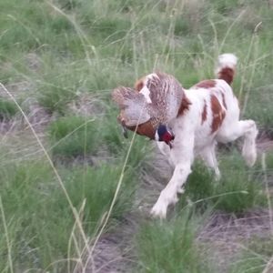 Meet your Posher, Cade